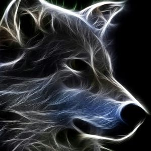 Meet your Posher, Dan